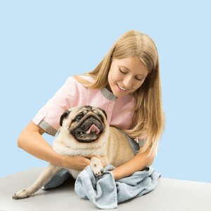 Basics of Dog Grooming