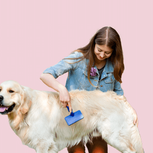 Dog Cleaning