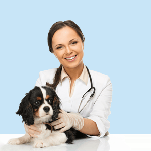 Dog Health Care