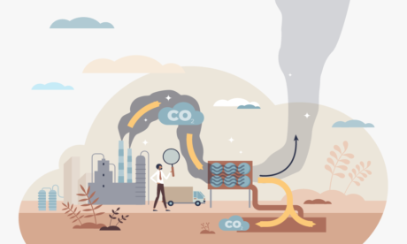 Carbon Literacy Knowledge